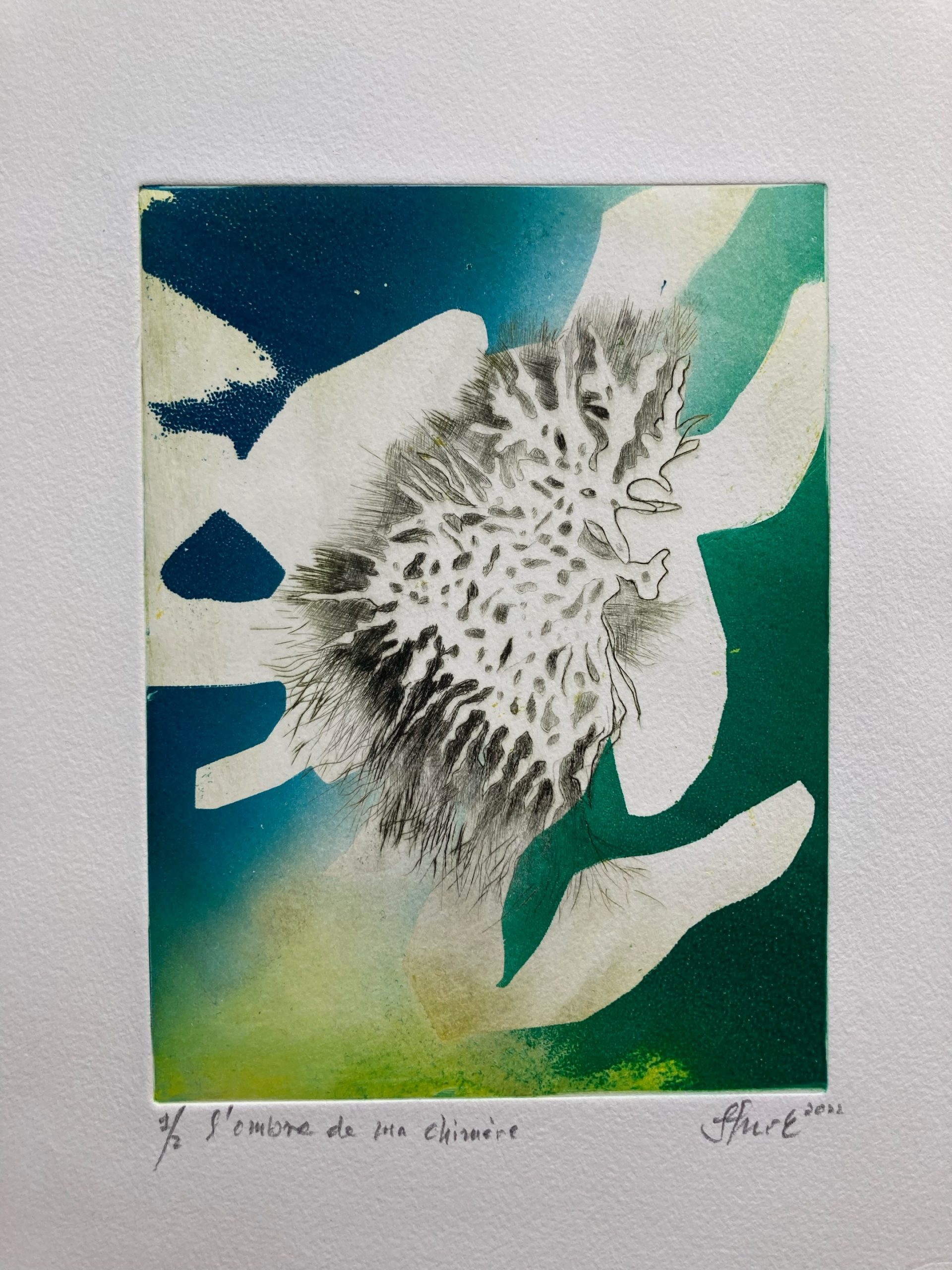 L’ombre de ma chimère 30×25 2022 – Technique : engraving burin + drypoint etching